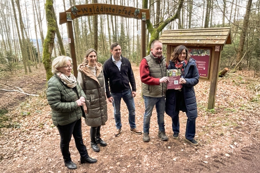 Walddistelpfad | Stephanie Nickels